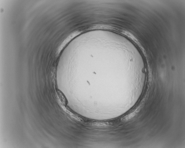 X0000052601049200507292118