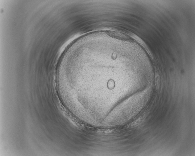 X0000052601051200507292118