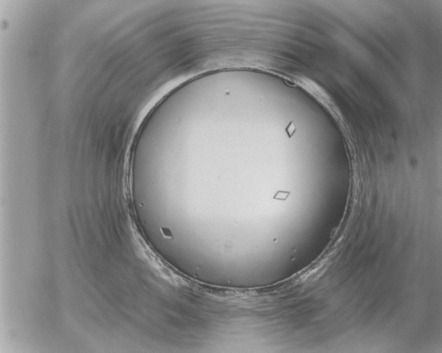 X0000052601052200507292118