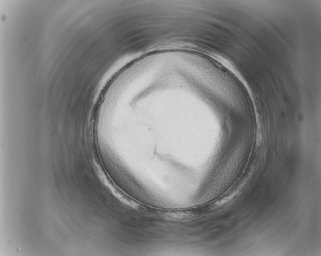 X0000052601053200507292118