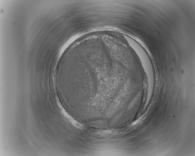 X0000052601054200507292118