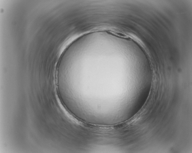 X0000052601055200507292118