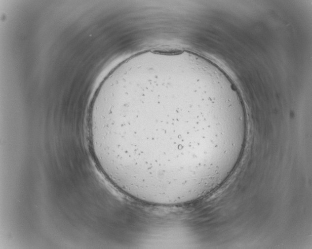 X0000052601056200507292118