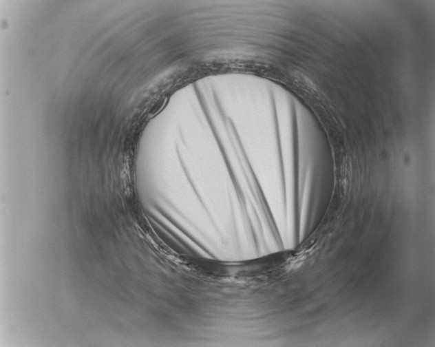 X0000052601062200507292117