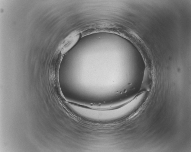 X0000052601065200507292117