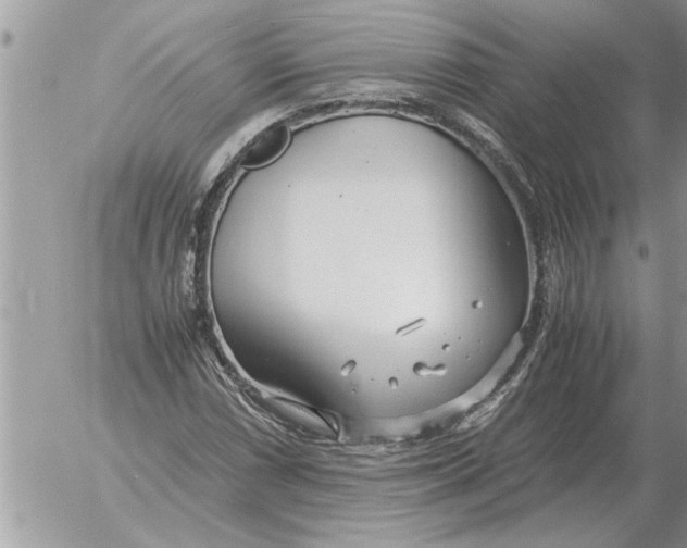 X0000052601066200507292117