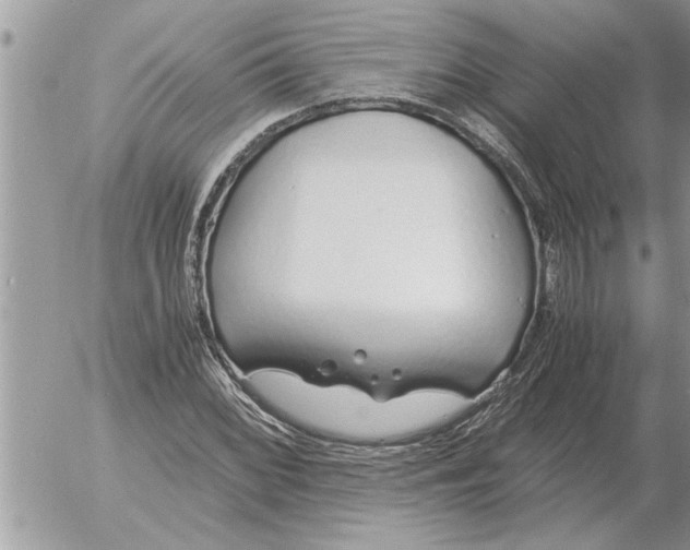 X0000052601068200507292117