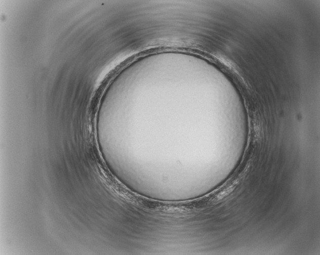 X0000052601070200507292117