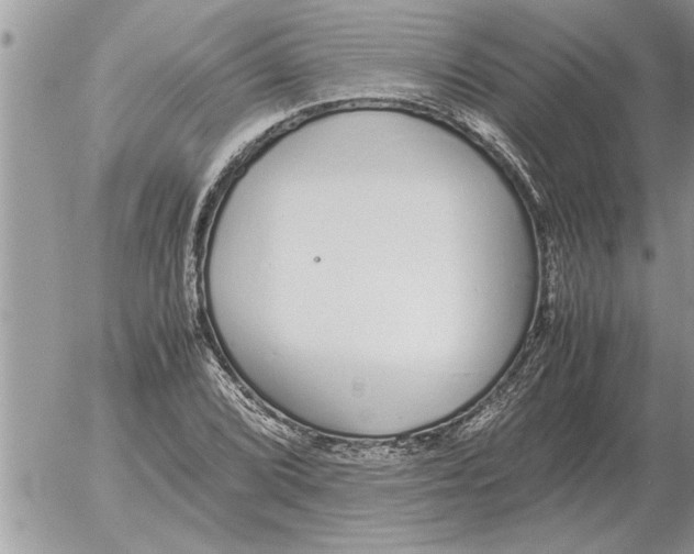 X0000052601072200507292117