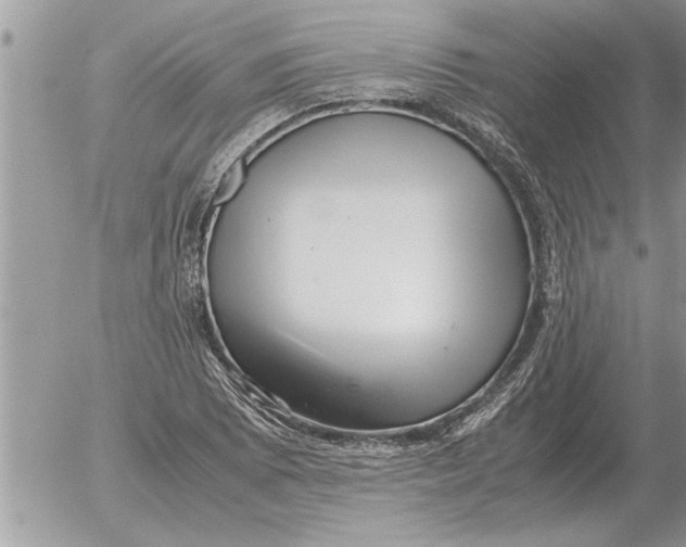 X0000052601073200507292117