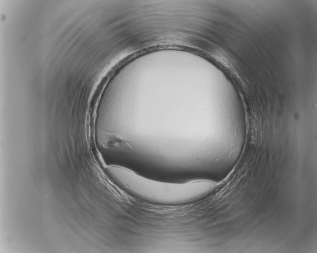 X0000052601076200507292117