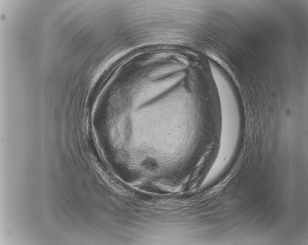 X0000052601077200507292117