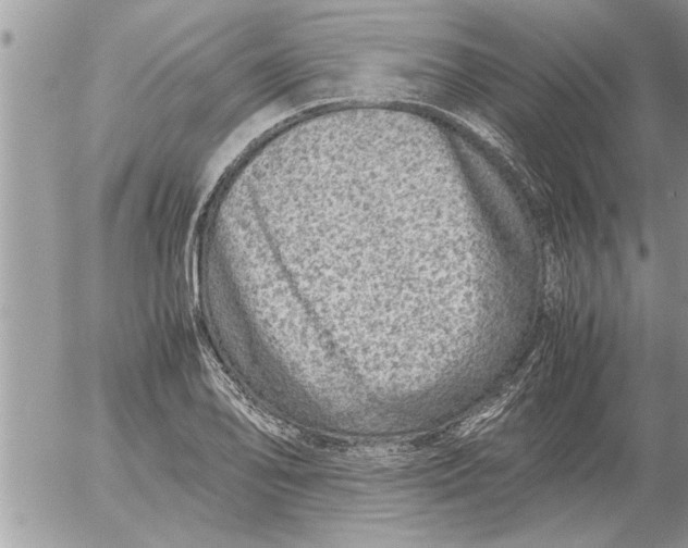 X0000052601078200507292117