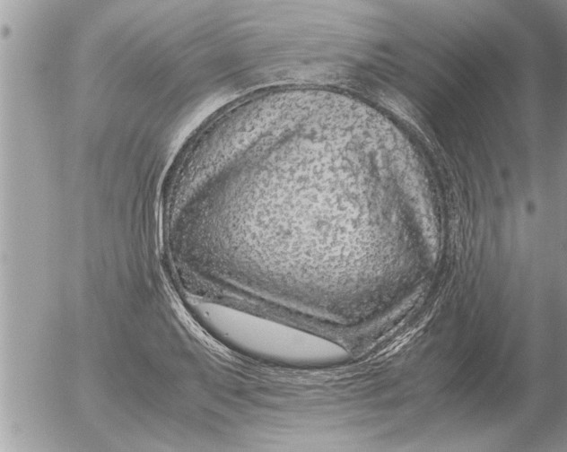 X0000052601079200507292117