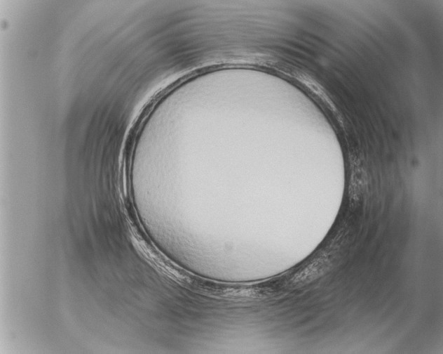 X0000052601080200507292117