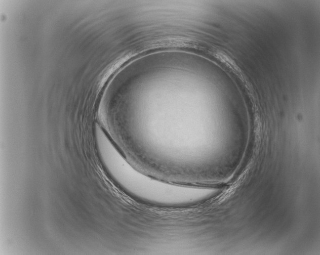 X0000052601081200507292117