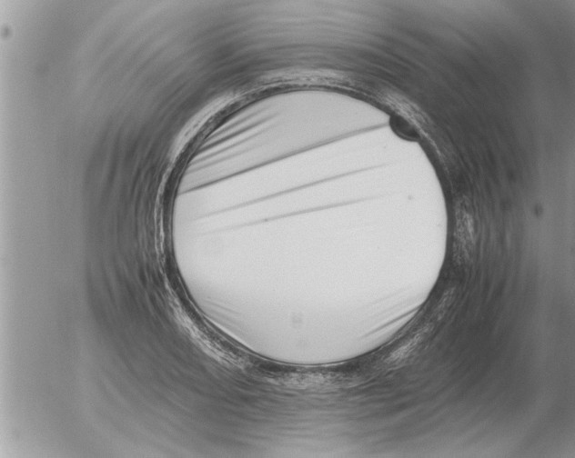 X0000052601082200507292117