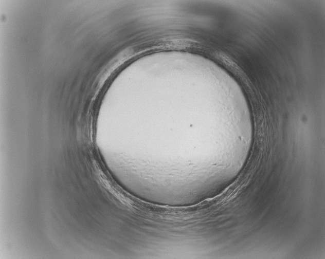 X0000052601083200507292117