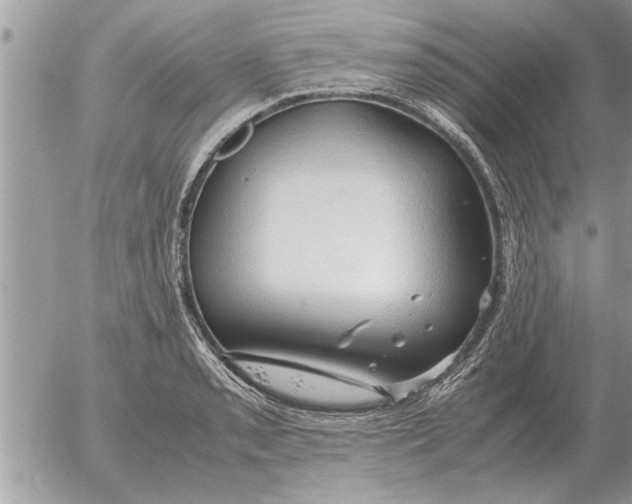 X0000052601085200507292117