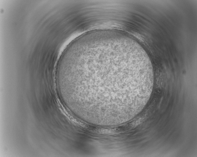 X0000052601086200507292117