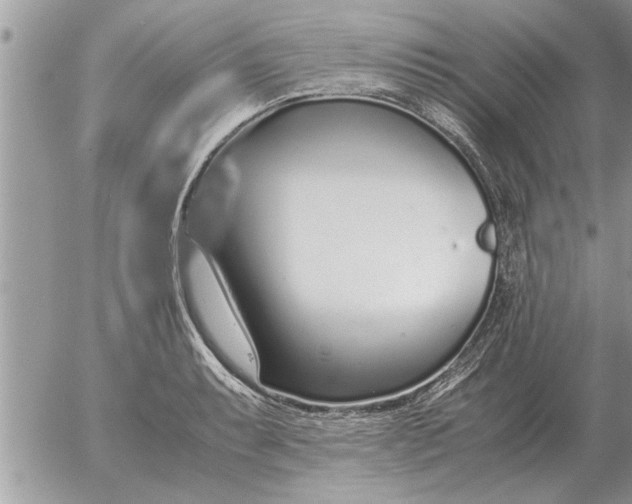 X0000052601087200507292117