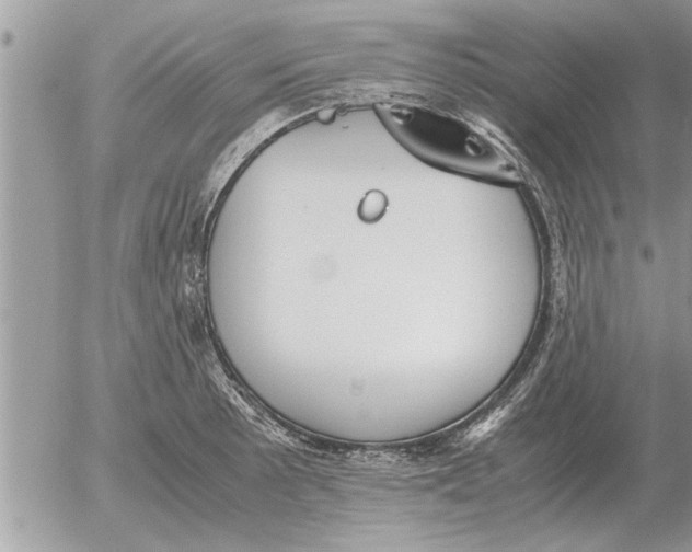 X0000052601089200507292117