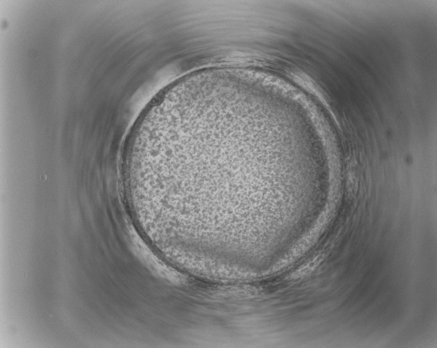 X0000052601091200507292117