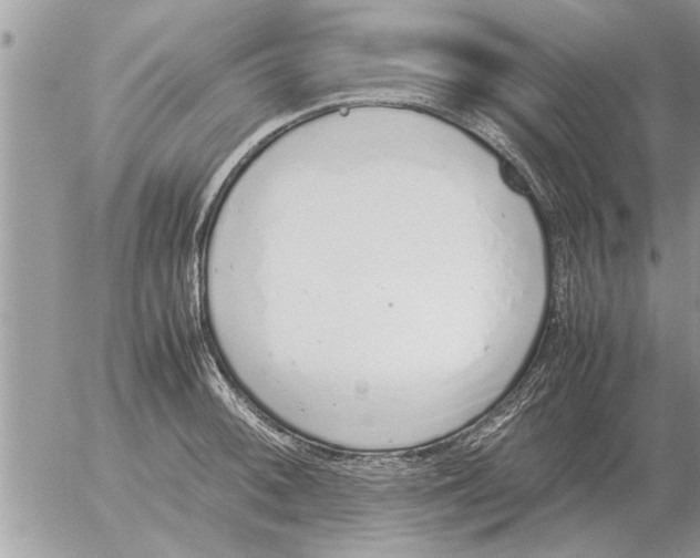 X0000052601092200507292117