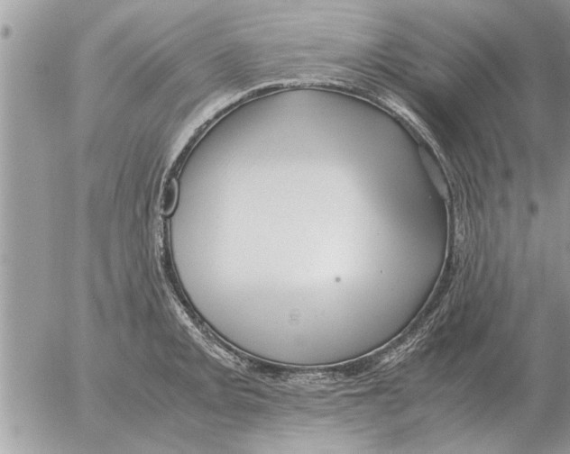 X0000052601093200507292117