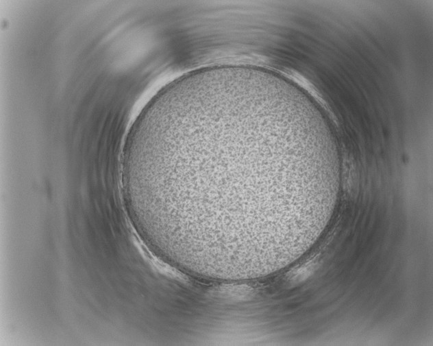 X0000052601094200507292117