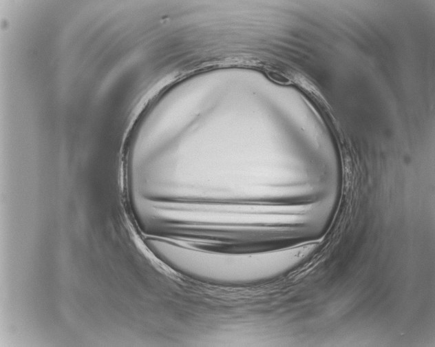 X0000052601095200507292116