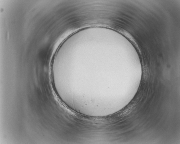 X0000052601096200507292116