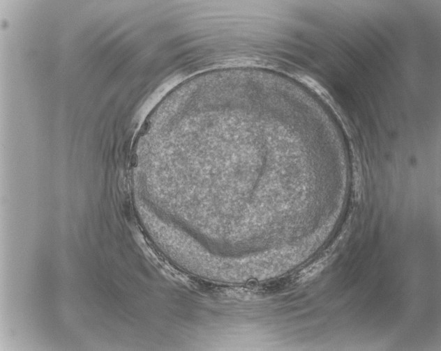 X0000052601097200507292116