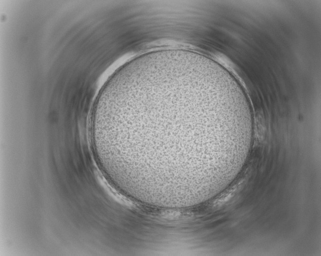 X0000052601098200507292116