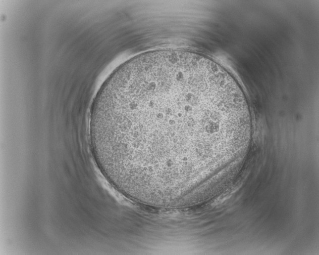 X0000052601099200507292116