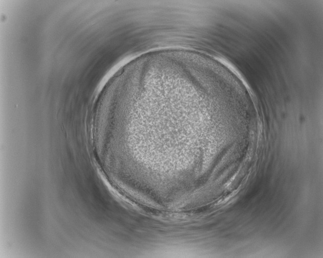 X0000052601101200507292116