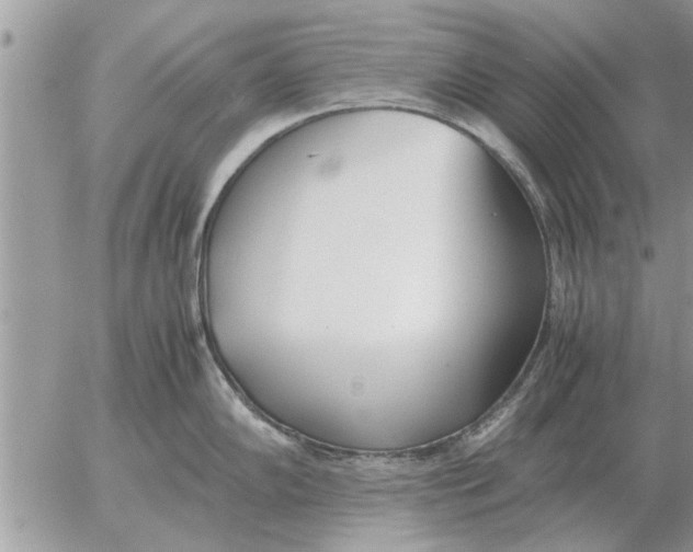 X0000052601102200507292116