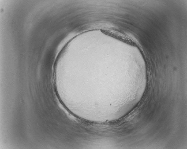 X0000052601103200507292116