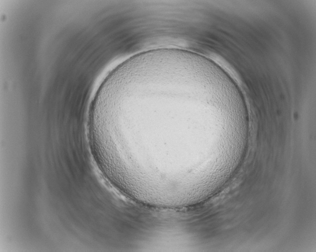 X0000052601104200507292116