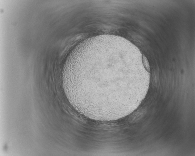 X0000052601105200507292116