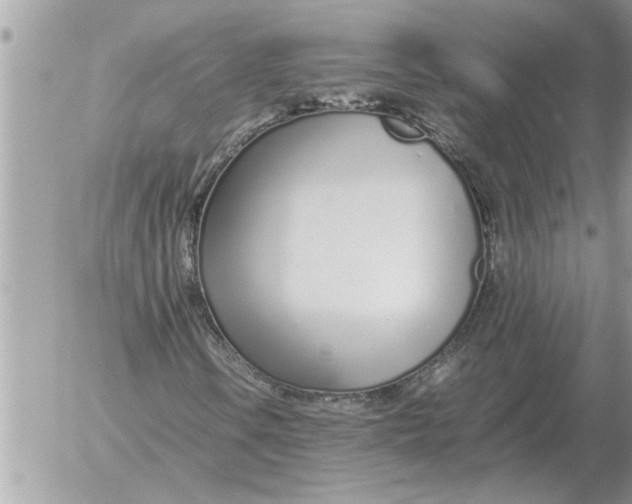 X0000052601106200507292116