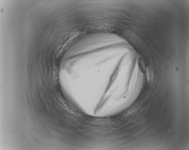 X0000052601107200507292116