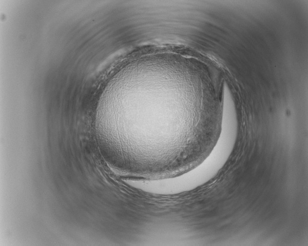 X0000052601110200507292116