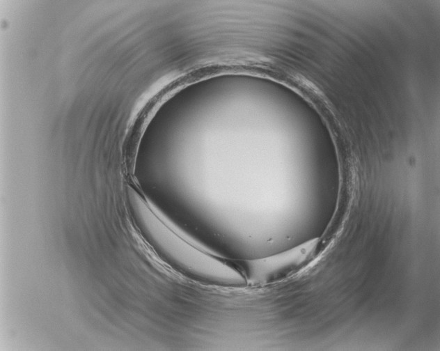 X0000052601114200507292116