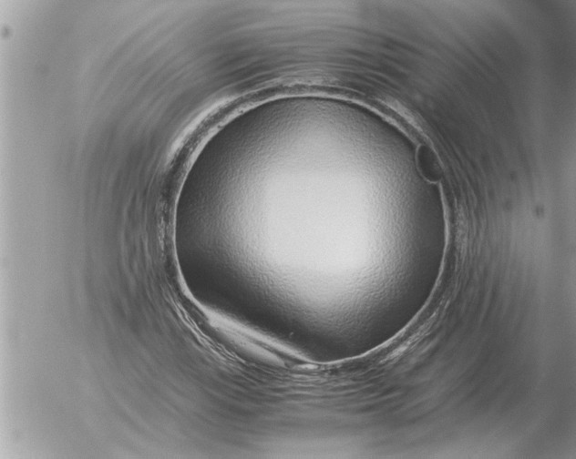 X0000052601115200507292116