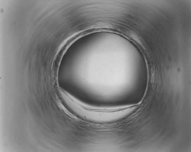 X0000052601116200507292116