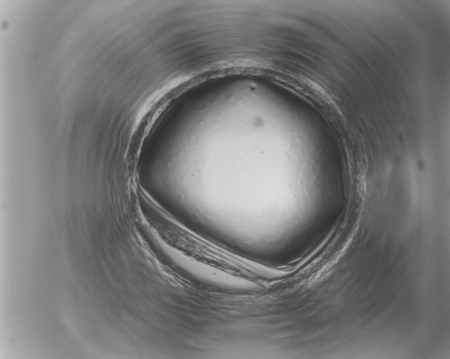 X0000052601117200507292116