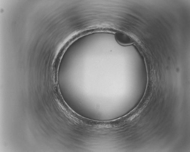 X0000052601118200507292116