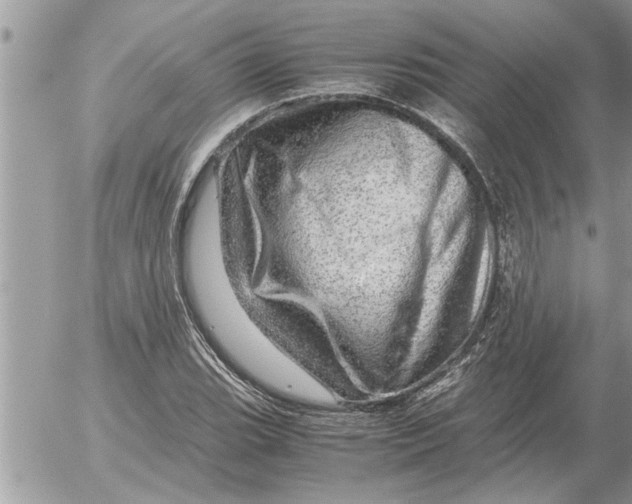 X0000052601119200507292116