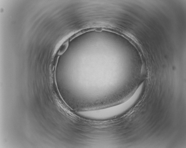 X0000052601120200507292116